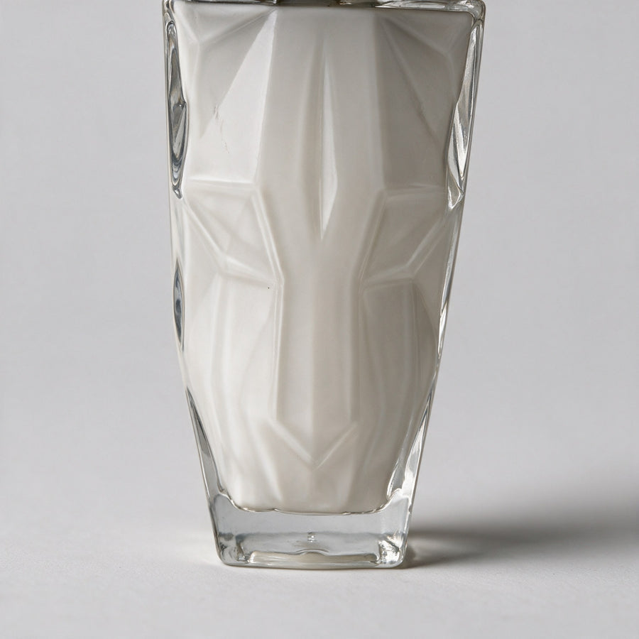 Leche facial de colágeno con niacinamida — 100 g